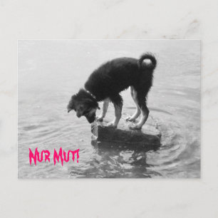 Nur Mut! Postcard