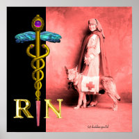 NURSE AND RESCUE DOG /Gold Caduceus RN Emblem