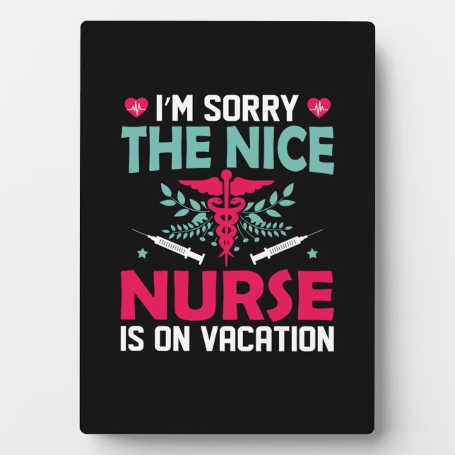 Nurse Gift I'm Sorry The Nice Nurse Plaque (Front)