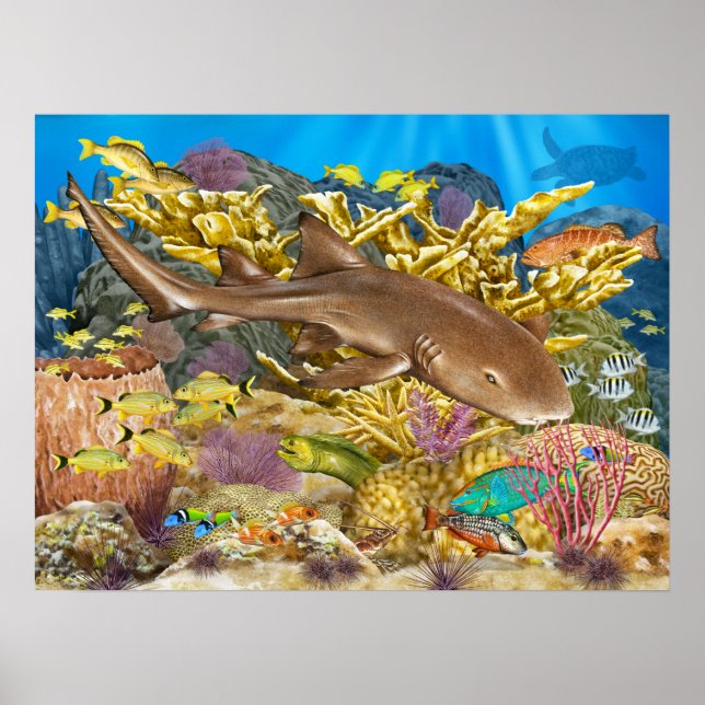 Nurse Shark Over Coral Reef Poster (Front)