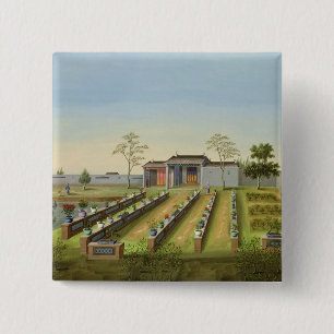 Nursery Garden, c.1820-40 (w/c on paper) 15 Cm Square Badge