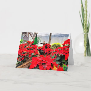 Nursery poinsettias card