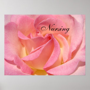 Nursing art prints Pink Rose Flower Nurses Week