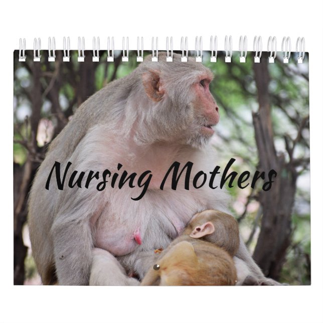 Nursing Mothers Animal Calendar (Cover)