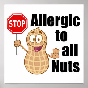 Nut Allergy Alert Poster