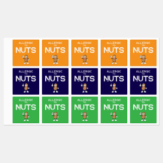 Nut Allergy Colourful Waterproof Square Sticker