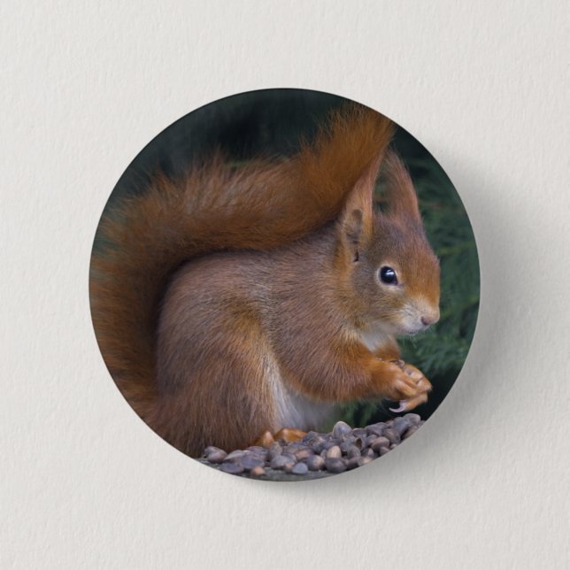 Nut Brunch Badge (Front)