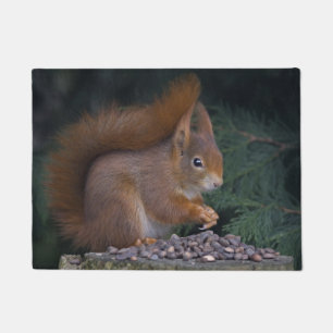 Nut Brunch Door Mat