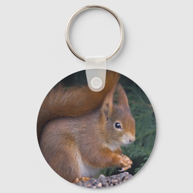 Nut Brunch Keyring (Front)