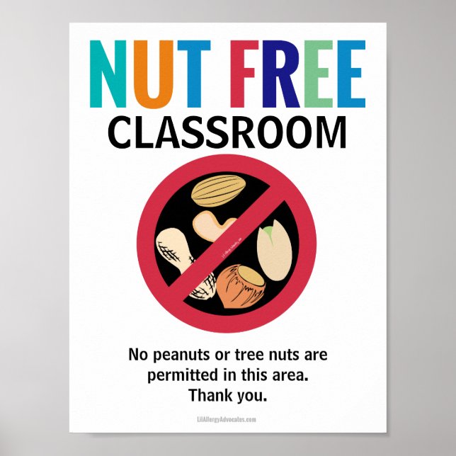 Nut Free Area Classroom Customised Allergy School Poster (Front)