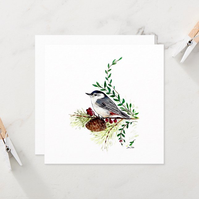 Nuthatch Beautiful Watercolor Note Card (Beautiful Nuthatch Watercolor Blank Note Cards from Jenn Steffen Art)