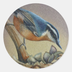 Nuthatch Bird and Sunflower Seeds Watercolor Art Classic Round Sticker