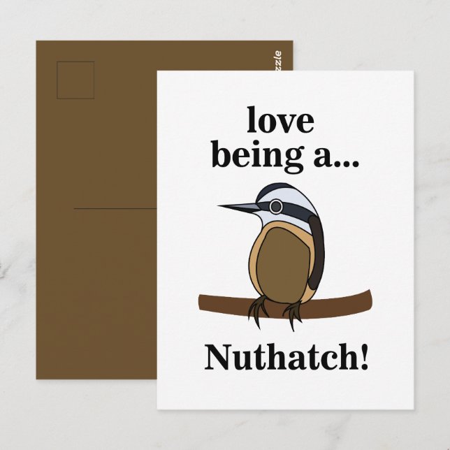 Nuthatch Bird Backyard Birder Birdwatcher Postcard (Front/Back)