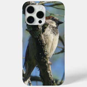 Nuthatch Bird In Tree Photo Phone case (iPhone 15)