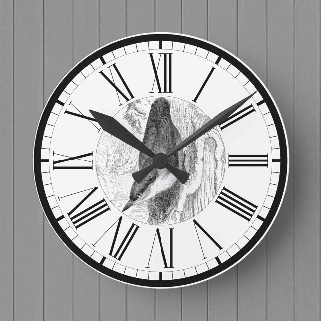 Nuthatch British Bird Illustration Round Clock (Creator Uploaded)
