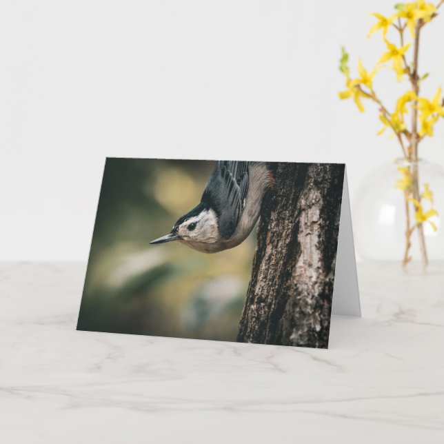 Nuthatch Card (Yellow Flower)