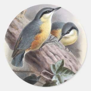 Nuthatch Classic Round Sticker