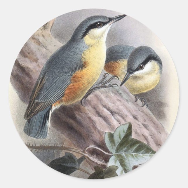 Nuthatch Classic Round Sticker (Front)