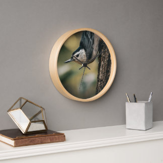 Nuthatch Clock