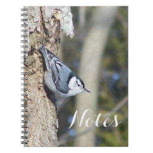 Nuthatch designer notebook