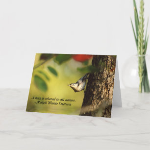 Nuthatch Greeting Card