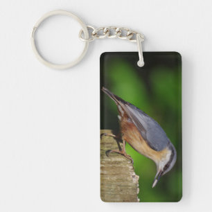 Nuthatch Keyring