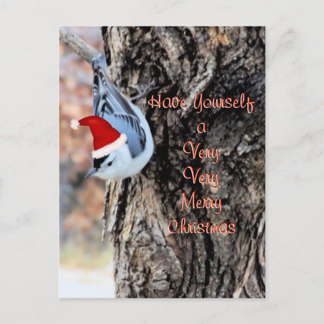 Nuthatch Merry Christmas Postcard-customise Holiday Postcard (Front)