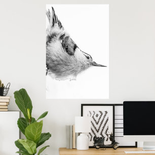 Nuthatch, White Bird Photography Poster