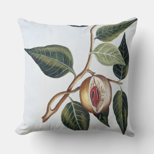 Nutmeg, plate 7, from 'Collection Precieuse et Enl Cushion (Front)