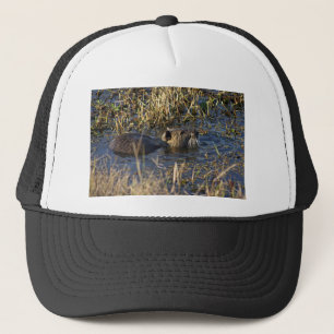 Nutria in water trucker hat