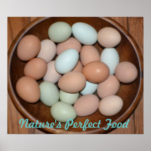 Nutritious Egg Poster