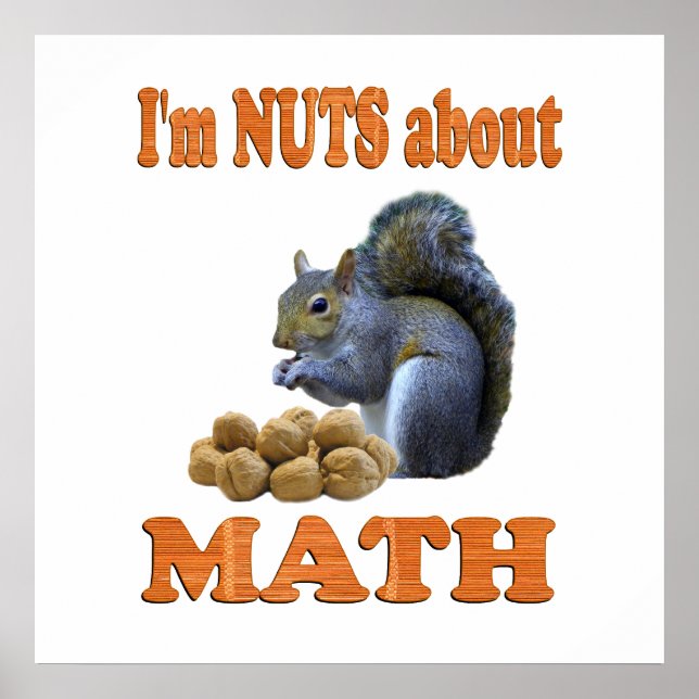 Nuts about Math Poster (Front)
