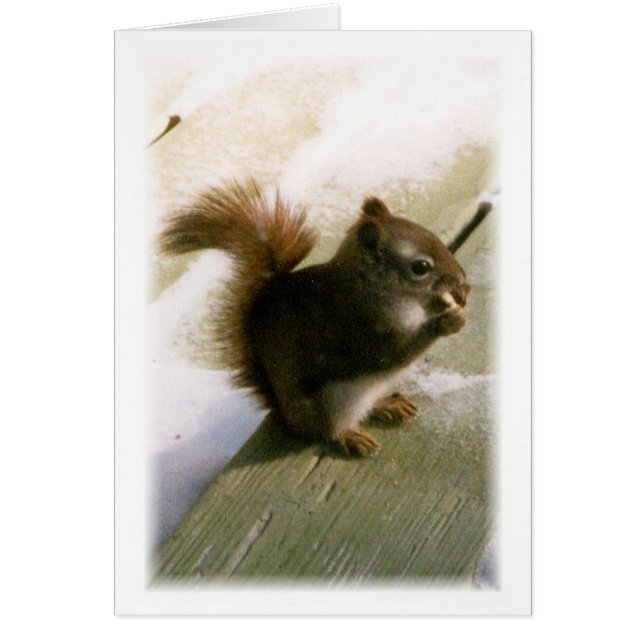 Nuts About You!! (Front)