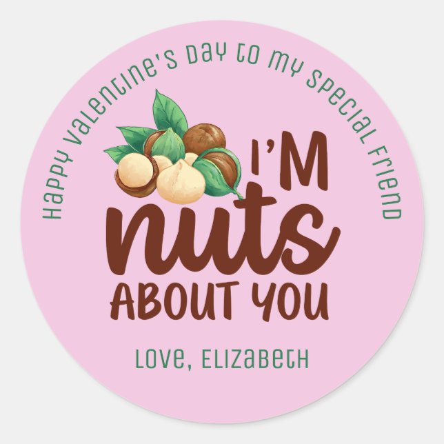 Nuts About You Funny Pun Cute Valentine's Day Pink Classic Round Sticker (Front)