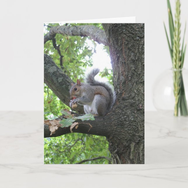 Nuts about you squirrel Valentine card (Front)