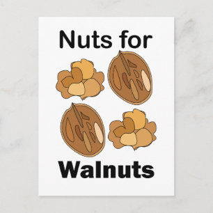 Nuts For Walnuts Funny Postcard