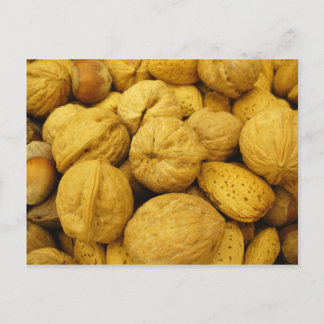 Nuts Postcard 001