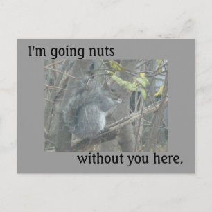 Nuts Without You Postcard
