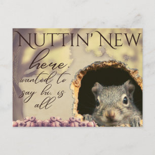 Nuttin' New Squirrel Vintage-Style Postcards