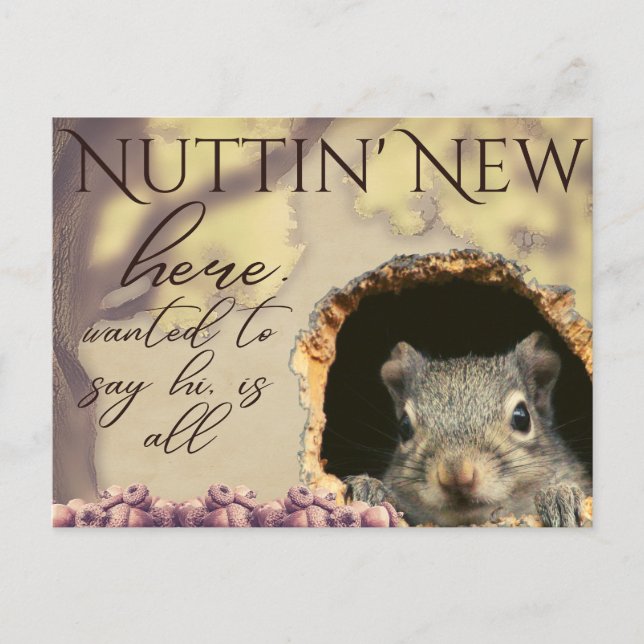 Nuttin' New Squirrel Vintage-Style Postcards (Front)