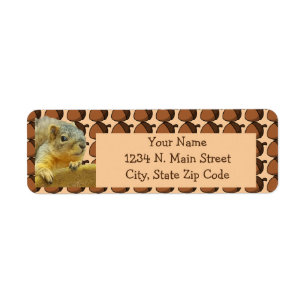 Nutty Squirrel