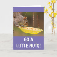 Nutty Squirrel Birthday