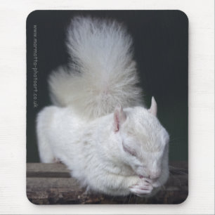 Nutty's Prayer Mousemat