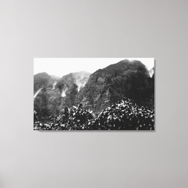 Nuuanu Valley, Hawaii - View of Upside Down Fall Canvas Print (Front)