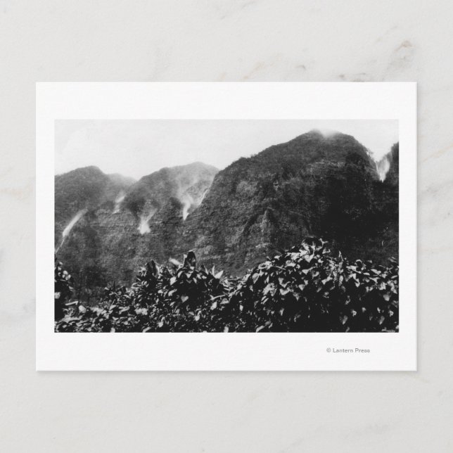 Nuuanu Valley, Hawaii - View of Upside Down Fall Postcard (Front)