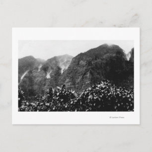 Nuuanu Valley, Hawaii - View of Upside Down Fall Postcard