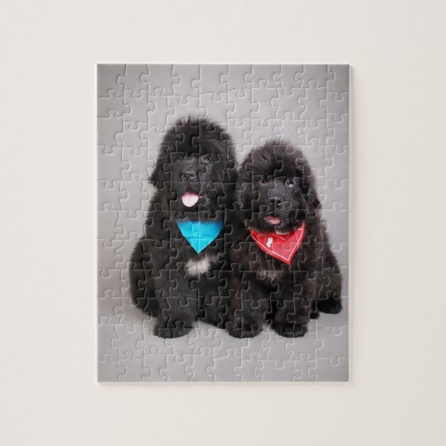 Nuwfie brothers jigsaw puzzle (Vertical)