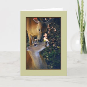 'Nuzzling Deer Duo' Blank Greeting Card