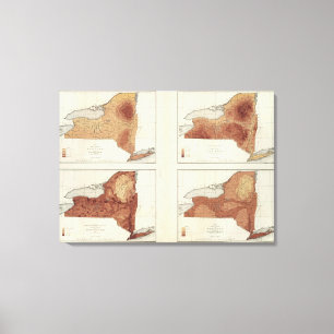 NY rainfall, population, elevation, temperature Canvas Print
