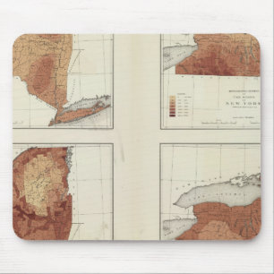 NY rainfall, population, elevation, temperature Mouse Pad